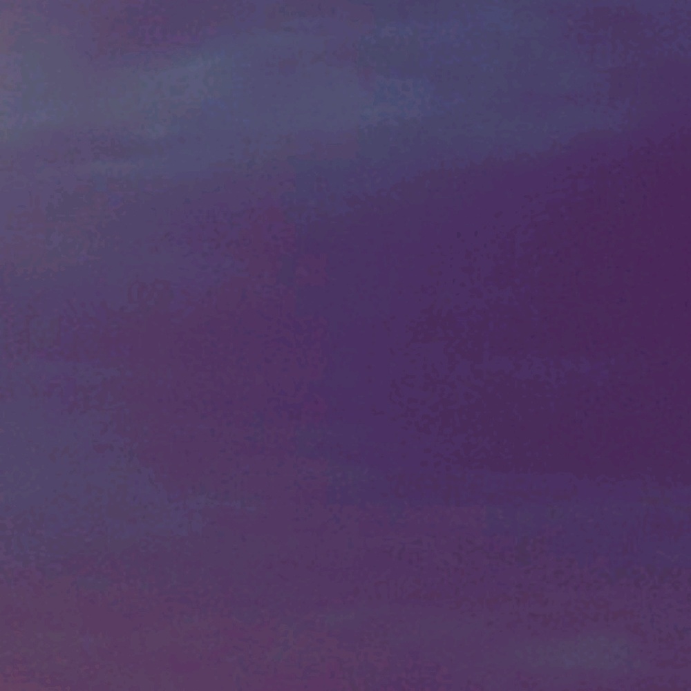 Meet your Posher, Lourdes